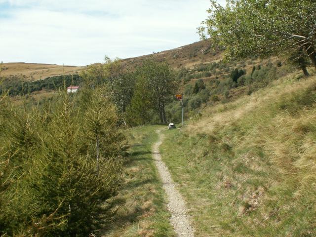 auf einem schönen Höhenweg geht es weiter