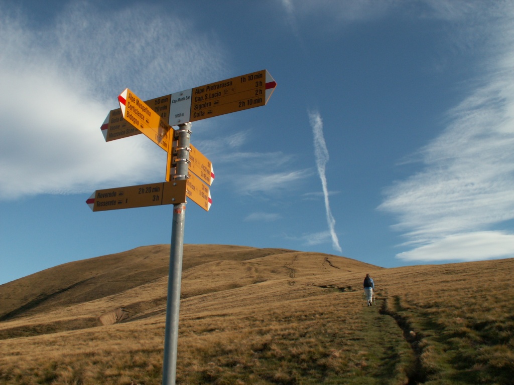 Mäusi hat schon den Weg zum Monte Bar eingeschlagen