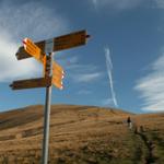 Mäusi hat schon den Weg zum Monte Bar eingeschlagen