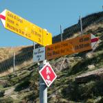 Wegweiser bei der Alpe Davrosio