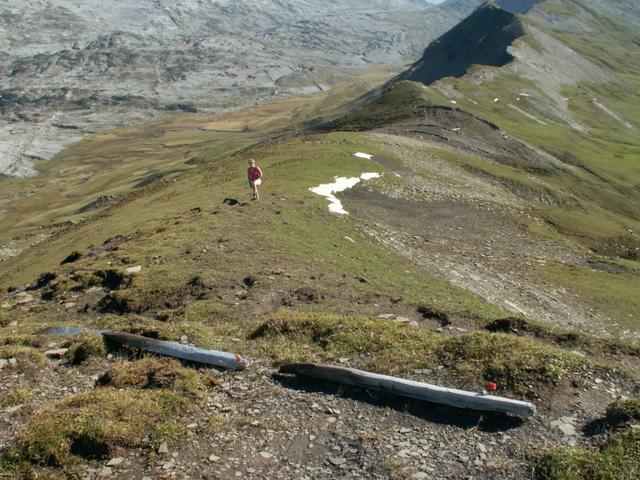 Mäusi auf dem Weg Richtung Pfaff