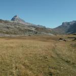 auf der Charetalp, im Hintergrund der Grisset