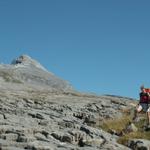 Mäusi und der Pfannenstock