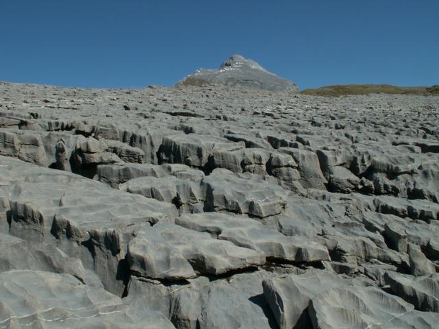 Karrenfelder mit Pfannenstock