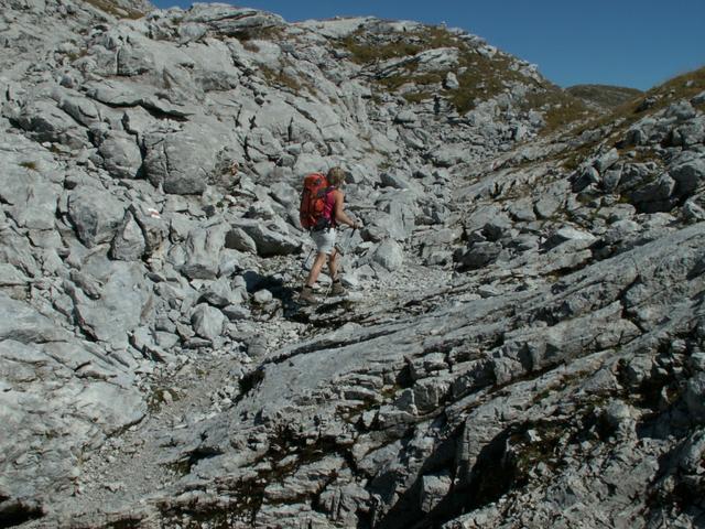 Mäusi in der Steinwüste