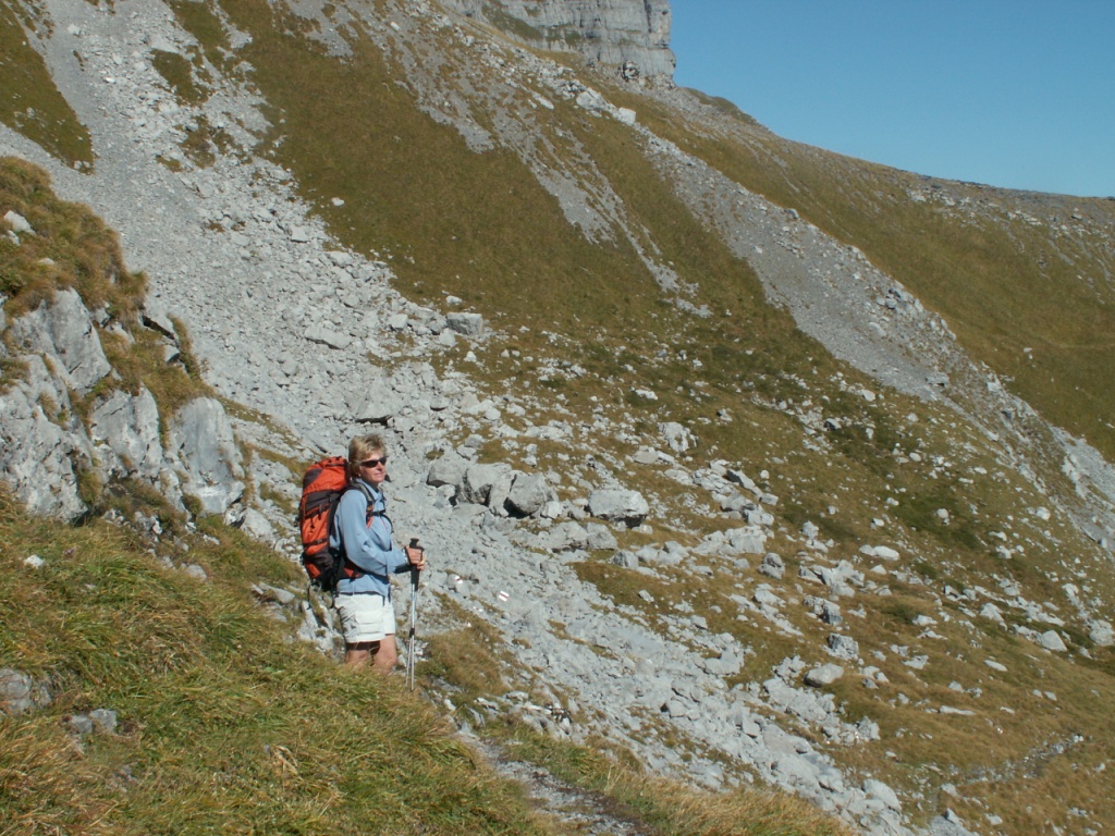 Mäusi bestaunt die Aussicht