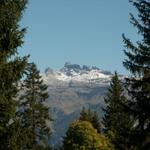 Blick Richtung Schwarz Tschingel und Chärpf