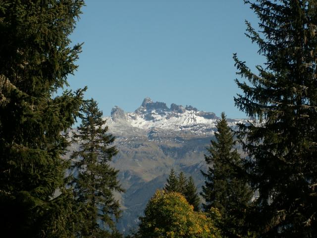 Blick Richtung Schwarz Tschingel und Chärpf