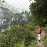 im Wald aufwärts Richtung Ober Stafel