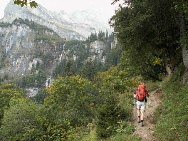 im Wald aufwärts Richtung Ober Stafel