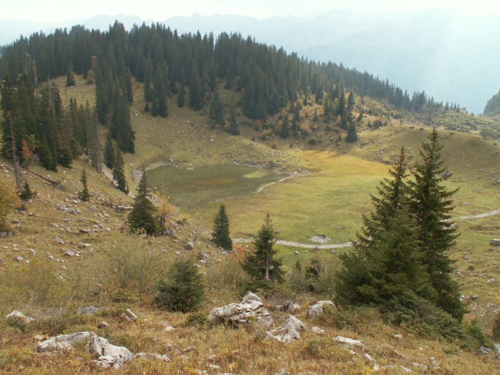 der Bergetenseeli