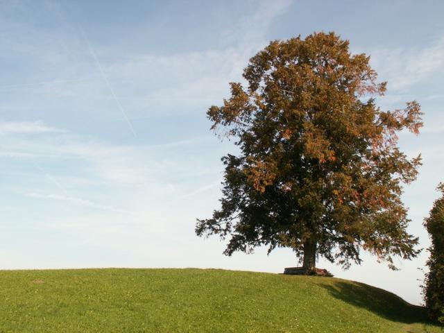 Blick zurück