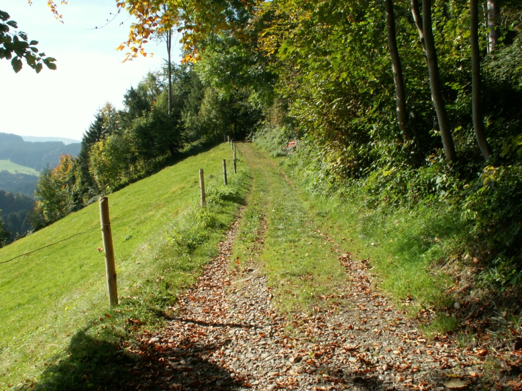 der Weg ist das Ziel