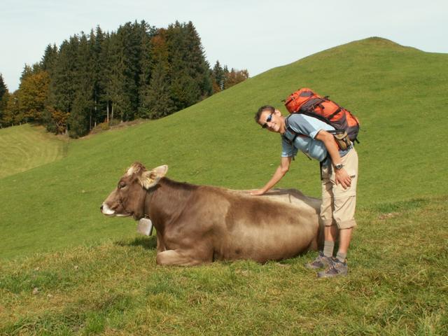 Franco mit Kuh