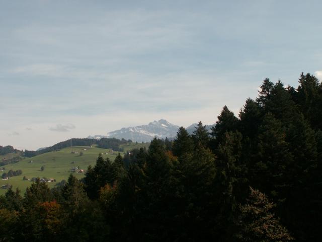 letzter Blick zum Säntis