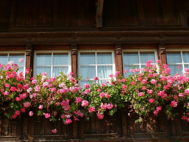 schöne Fassade bei den Holzhäuser im Weiler Hofstetten
