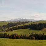 Breitbildfoto mit Blick Richtung Säntis