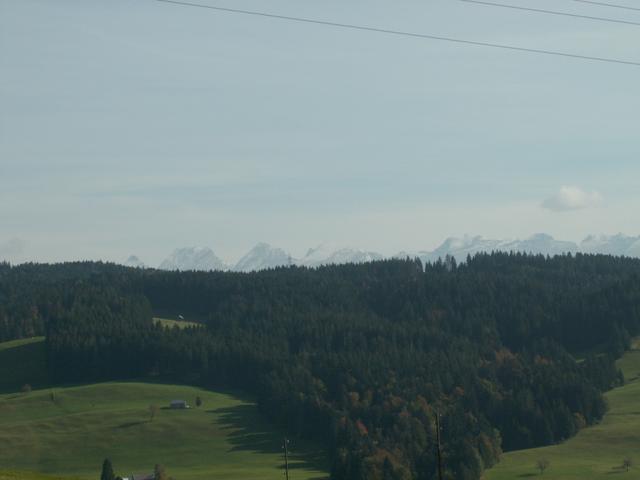 Aussicht zu den Churfirsten