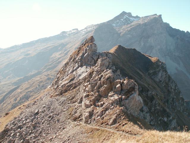 schön angelegter Weg