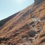 an der Flanke des Naafkopf entlang geht es Richtung Barthümeljoch