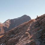 weiterer Wegverlauf Richtung Barthümeljoch