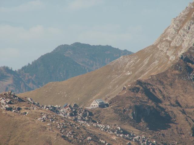 die Pfälzerhütte