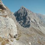 Mäusi auf dem Weg Richtung Salarueljoch