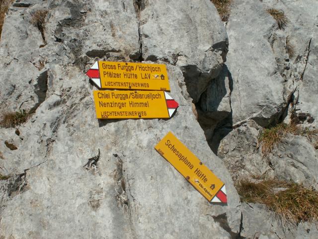 Wegweiser kurz vor dem Salarueljoch