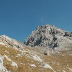 Blick zum Salarueljoch