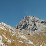 Blick zum Salarueljoch