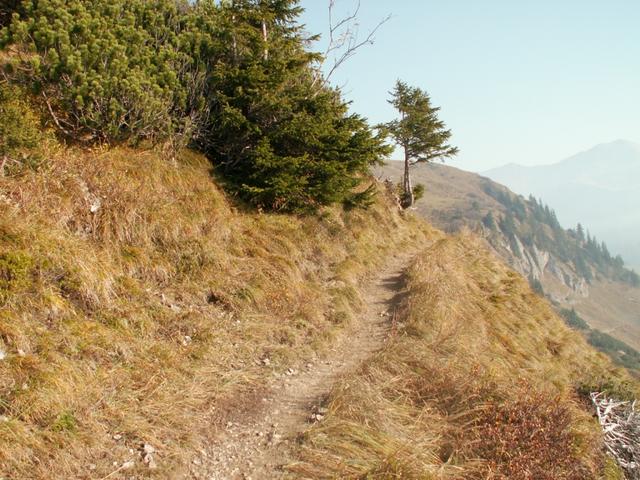 es geht Richtung Schesaplana Hütte