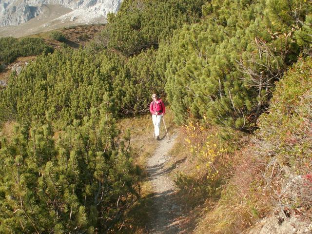 ein schöner Wanderweg