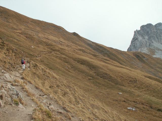 es geht weiter Richtung Gafalljoch