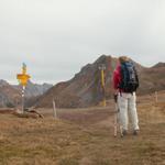 Mäusi hat den Gafalljoch 2239 m.ü.M. erreicht