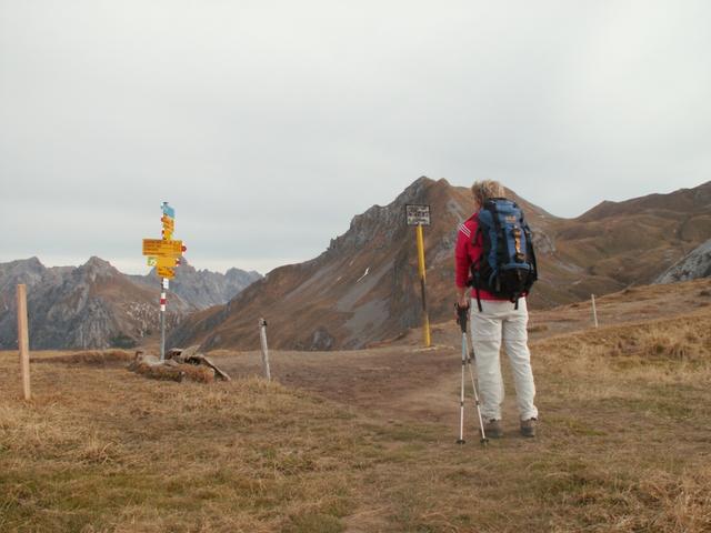 Mäusi hat den Gafalljoch 2239 m.ü.M. erreicht