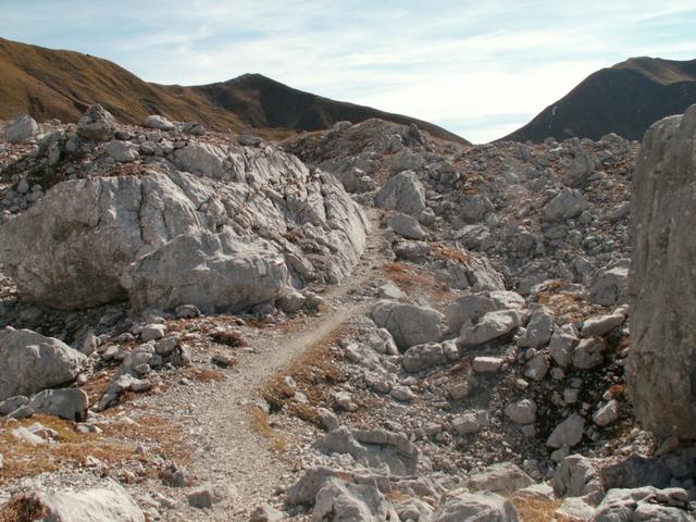 der Weg zur Carschina Hütte