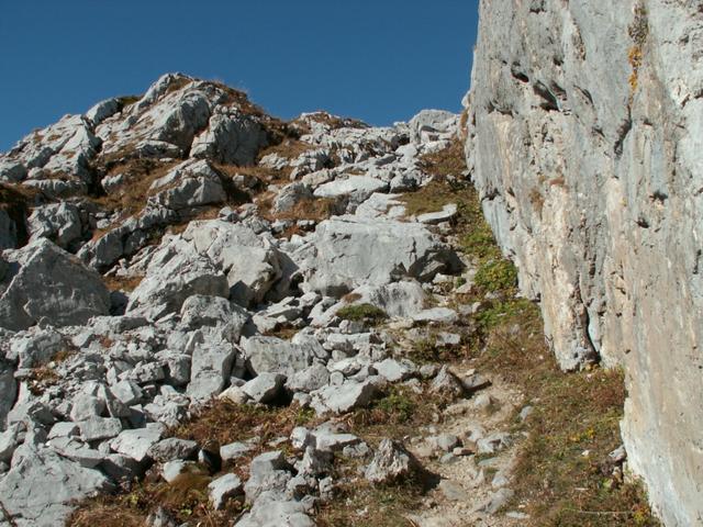 bald ist der Pass erreicht. Sieht steiler aus als es ist