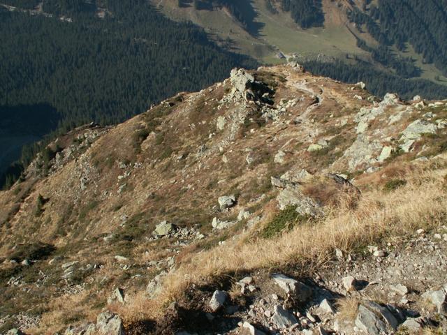 auf schönem Pfad geht es weiter runter