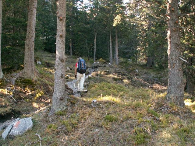 zuerst noch durch den Wald