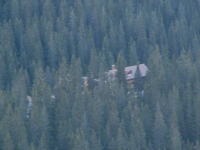 die Lindauer Hütte mitten im Wald