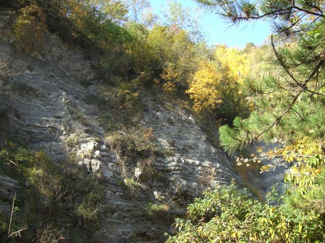 Gesteinsformationen von Jura und Kreidezeit