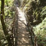 eine schöne Holzbrücke