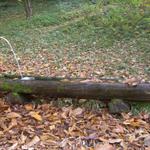 Brunnen im Herbstkleid