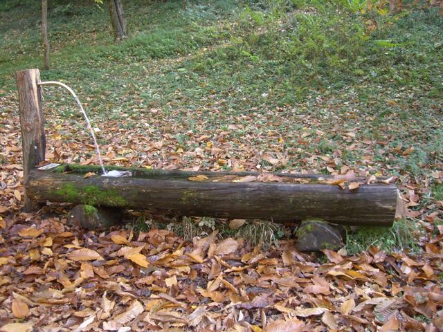 Brunnen im Herbstkleid