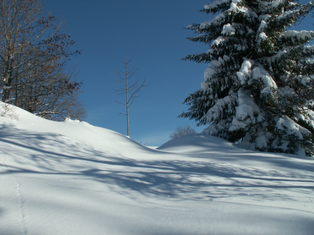 unberührte Natur