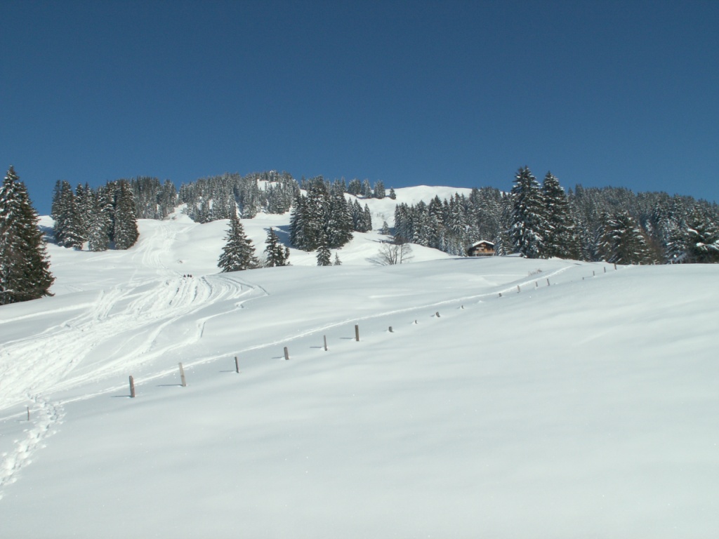 Blick Richtung Hudelschijen