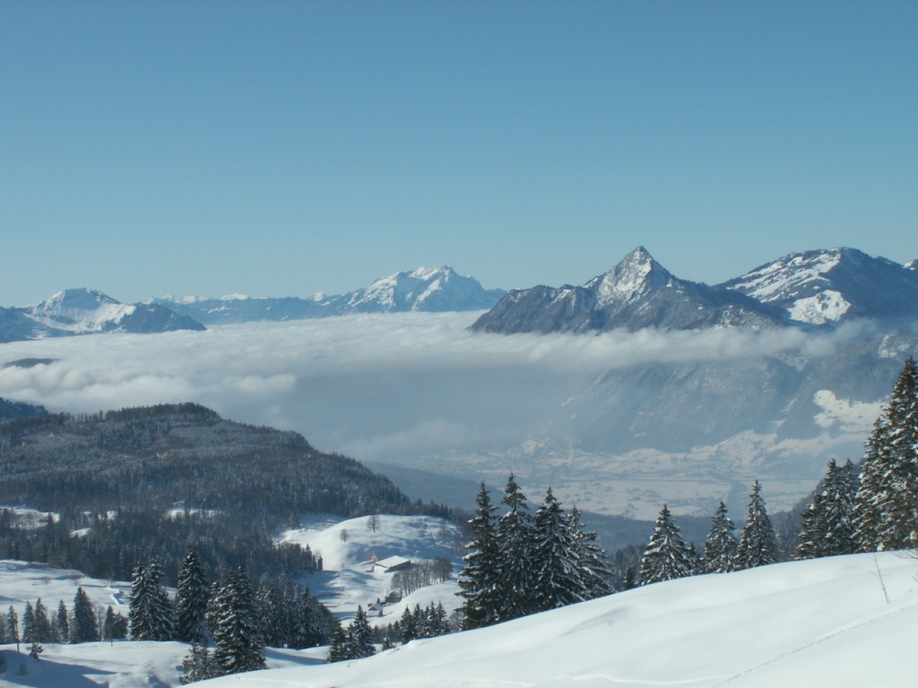 Blick Richtung Brunen, markant der Hochflueh