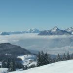 Blick Richtung Brunen, markant der Hochflueh