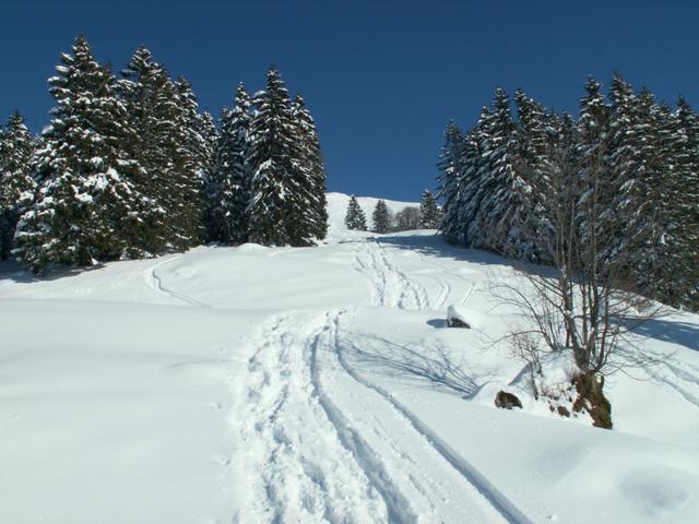 bei Ober Altberg