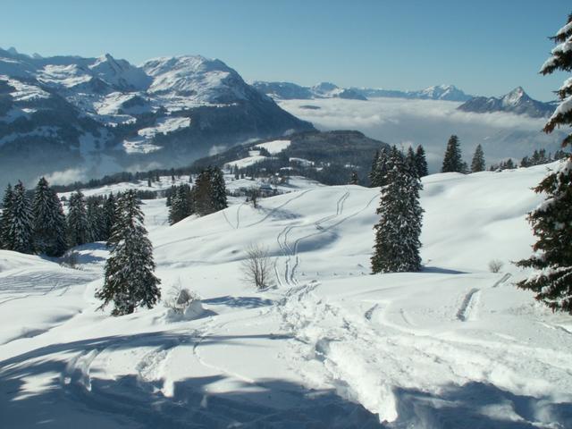 Blick zurück